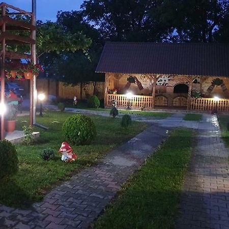 Готель Casa Floare De Colt Кирцишоара Екстер'єр фото