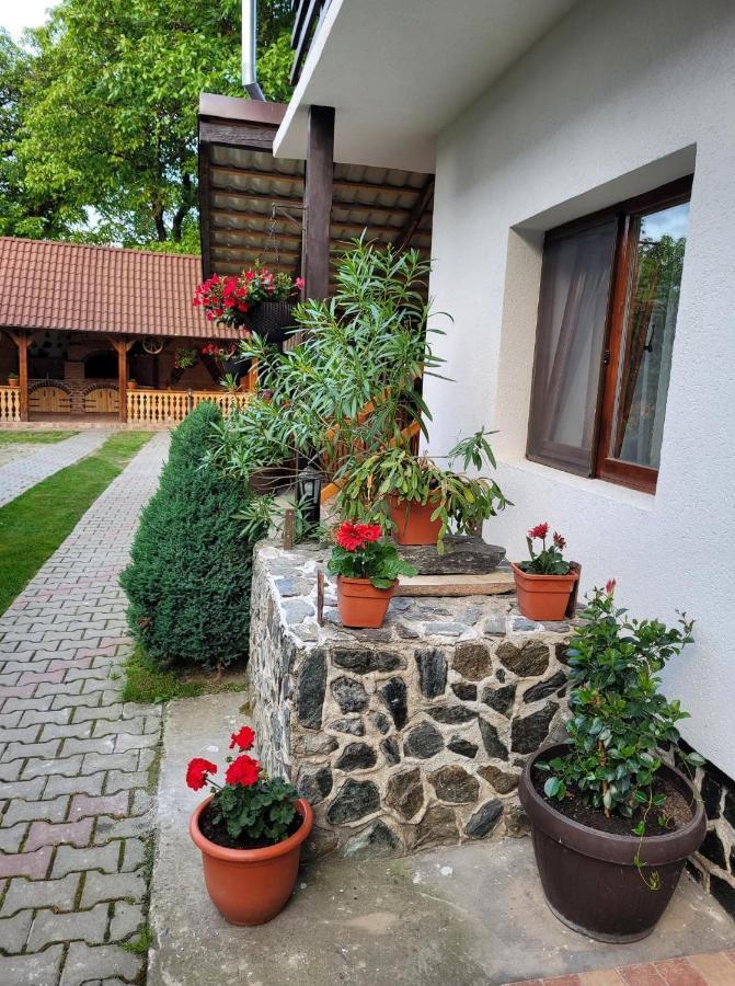 Готель Casa Floare De Colt Кирцишоара Екстер'єр фото