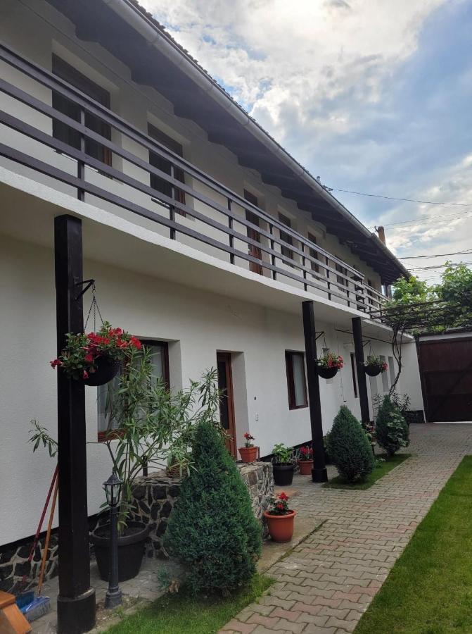 Готель Casa Floare De Colt Кирцишоара Екстер'єр фото