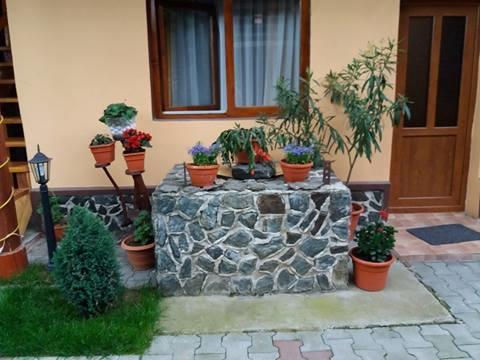 Готель Casa Floare De Colt Кирцишоара Екстер'єр фото