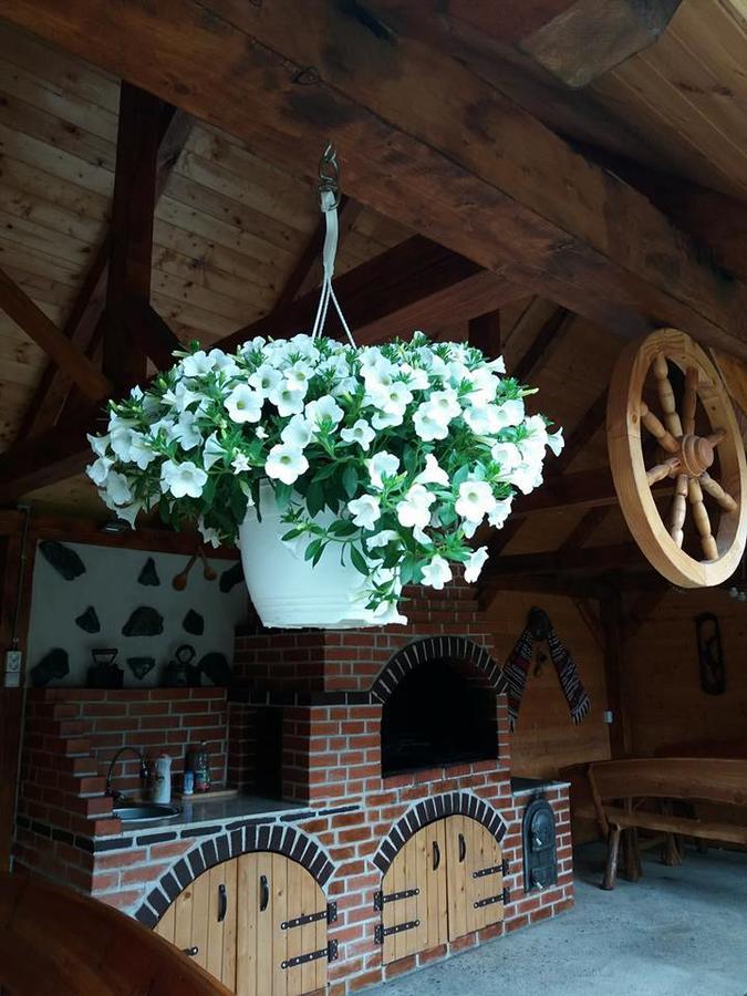 Готель Casa Floare De Colt Кирцишоара Екстер'єр фото
